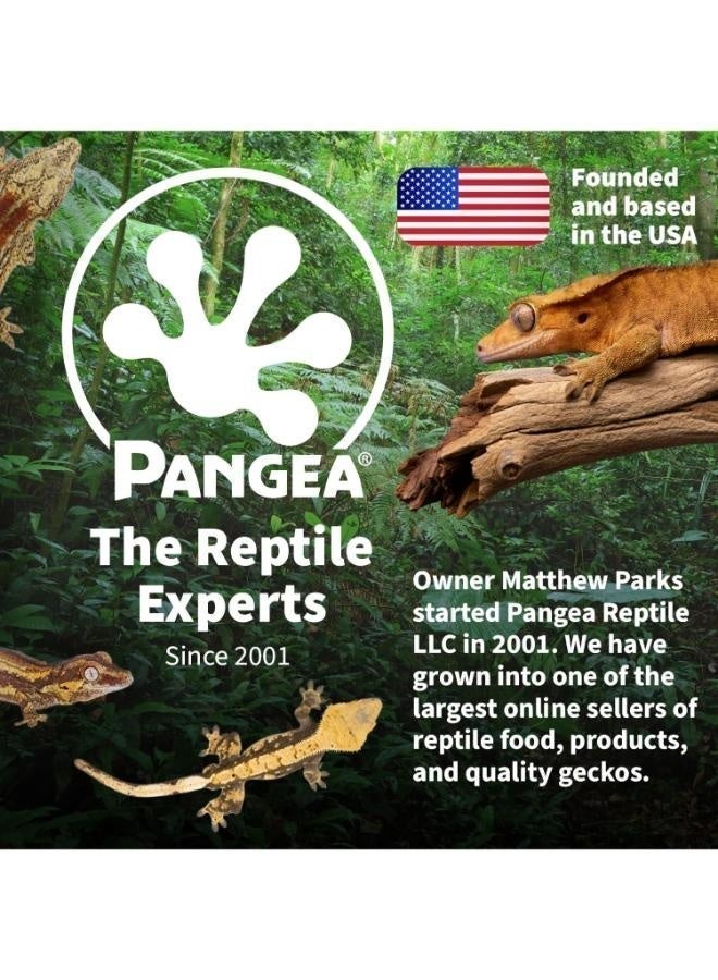 PANGAEA Pangea with Insects Complete Gecko Diet - 56g - Image 5